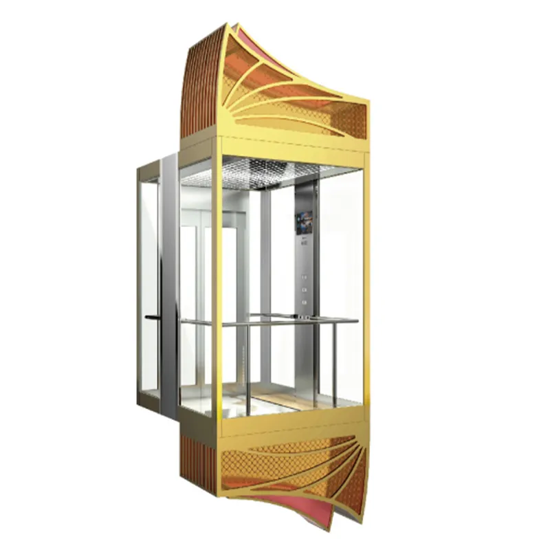 Панорамный лифт (4)